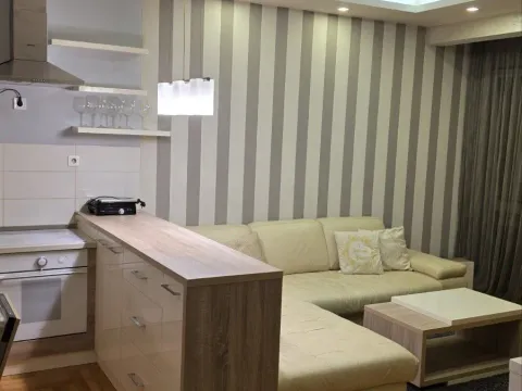 Izdavanje, jednosoban stan, 50m², Ljubović, Podgorica - image 6