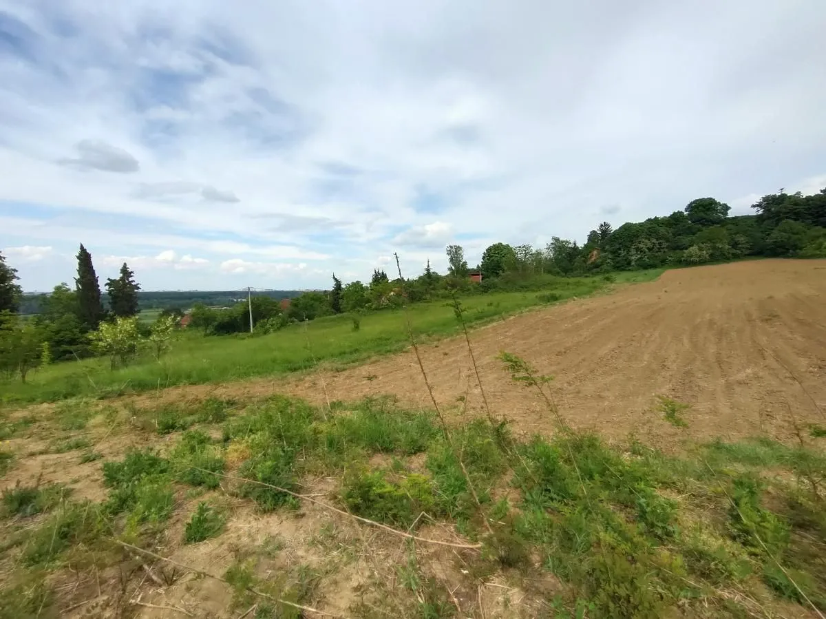 Prodaja, plac, 7600m², Ledinci, Petrovaradin