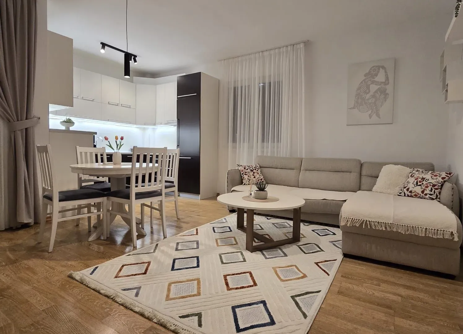 Rent, one bedroom apartment, 46m², Nova Dalmatinska, Podgorica