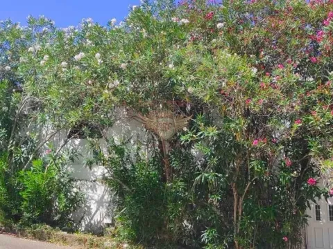 Prodaja, kuća, 80m², Budva, Crna Gora