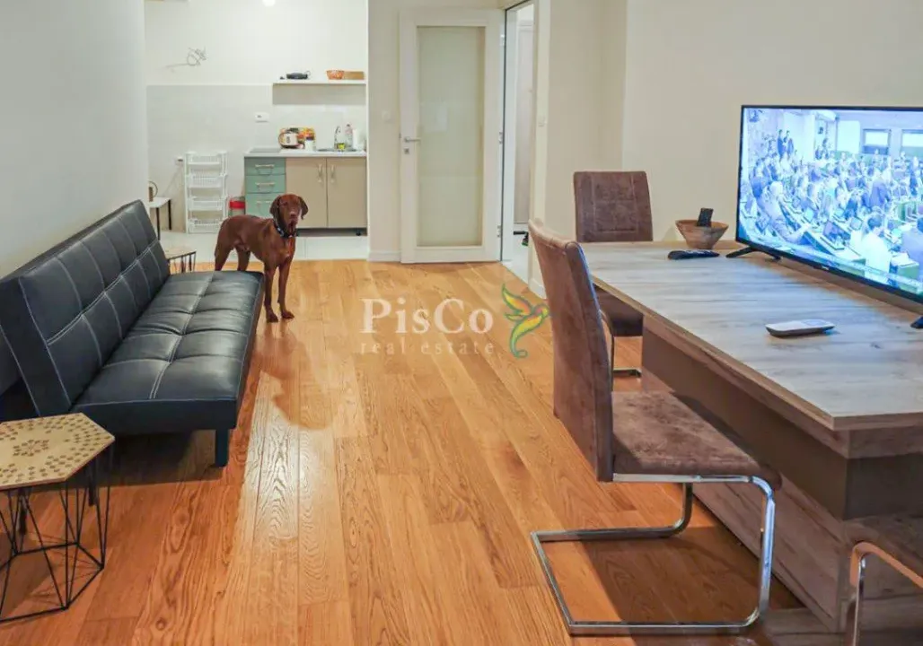 Izdavanje, jednosoban stan, 51m², Central Point, Podgorica