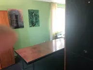 Izdavanje, poslovni prostor, 800m², Krnjaca, Palilula Sve Podlokacije - image 4