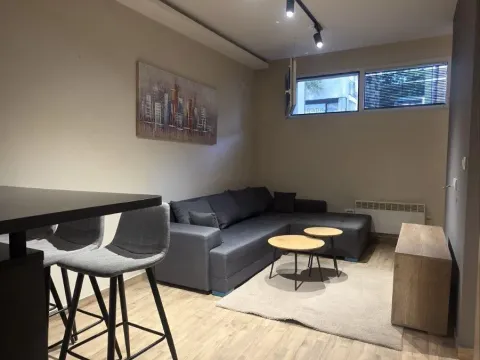 Sale, two bedroom apartment, 38m², Đeram Pijaca, Beograd