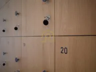 Izdavanje, poslovni prostor, 250m², Bogoslovija, Palilula Sve Podlokacije - image 21