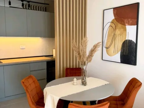 Rent, one bedroom apartment, 41m², Zabjelo, Podgorica - image 4