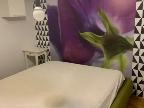 Izdavanje, jednosoban stan, 51m², 1 maj, Podgorica - image 13