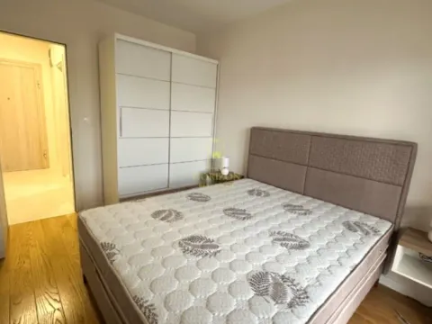 Prodaja, jednosoban stan, 49m², Central Point, Podgorica - image 3