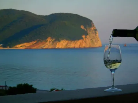 Sale, hospitality venue, 1723m², Buljarica, Budva - image 24