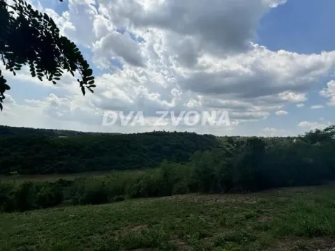 Prodaja, plac, 2500m², Čortanovci, Inđija - image 4