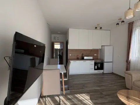 Rent, one bedroom apartment, 29m², Gradiošnica, Tivat - image 5