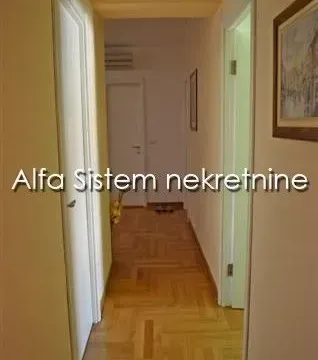 Izdavanje, stan, 230m², Čubura, Beograd - image 19