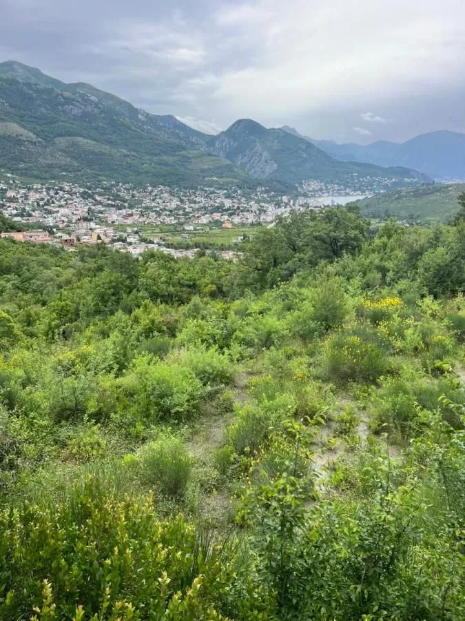 Pogled na grad, zelene površine i okolne planine.