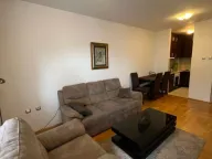 Izdavanje, jednosoban stan, 42m², Preko Morače, Podgorica - image 5