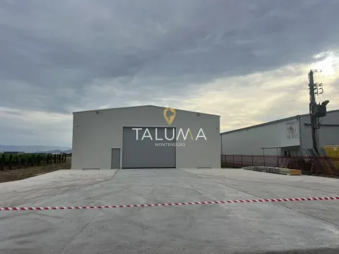 Izdavanje, poslovni prostor, 584m², Kuće Rakića, Podgorica - image 3