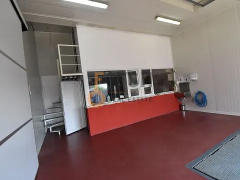 Sale, office space, 794m², Rogami, Podgorica - image 3