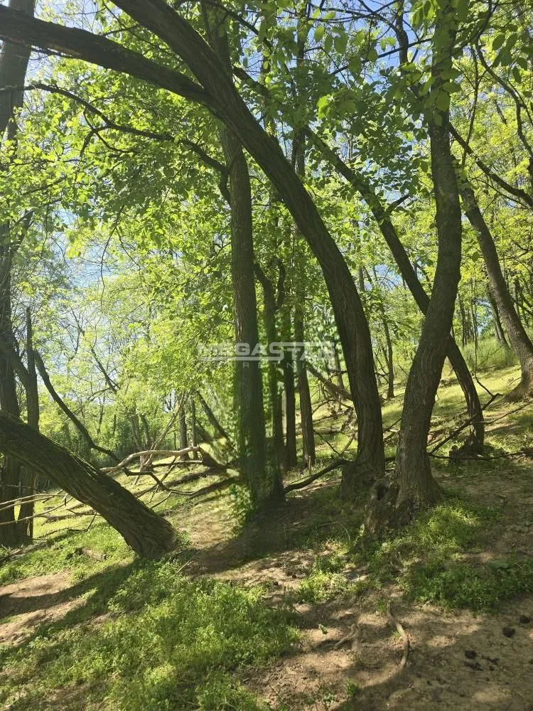 Prodaja, plac, 4244m², Mali Požarevac, Sopot