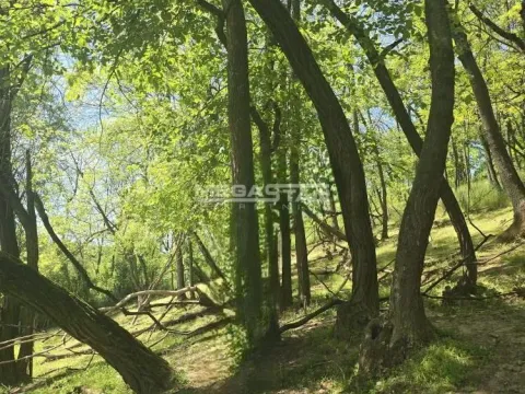 Prodaja, plac, 4244m², Mali Požarevac, Sopot - image 2