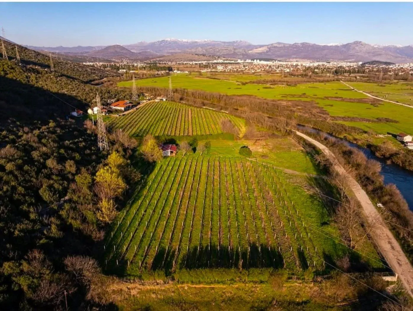 Prodaja, plac, 13000m², Beri, Podgorica