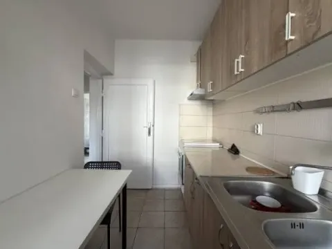 Sale, two bedroom apartment, 47m², Profesorska Kolonija, Palilula Sve Podlokacije - image 3