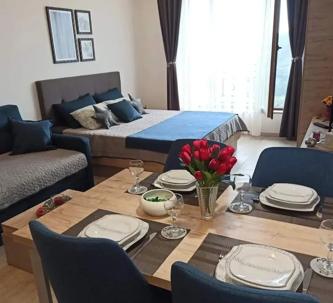 Prodaja, jednosoban stan, 28m², Kraljevi Čardaci, Kopaonik