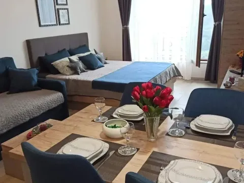 Prodaja, jednosoban stan, 28m², Kraljevi Čardaci, Kopaonik - image 8