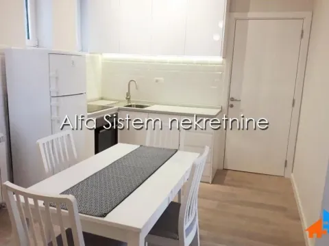 Izdavanje, dvosoban stan, 50m², Stari Grad, Beograd - image 6