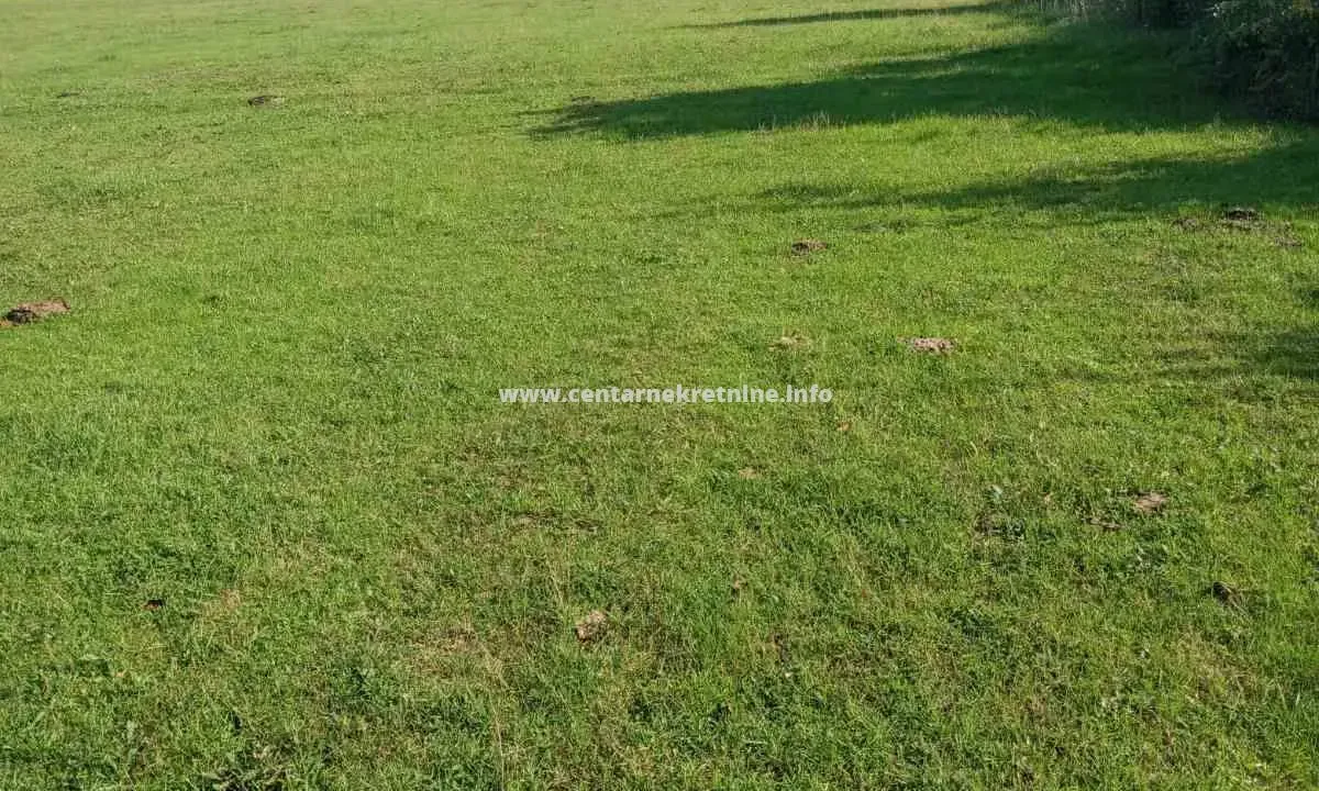 Prodaja, plac, 8711m², Grlić, Danilovgrad