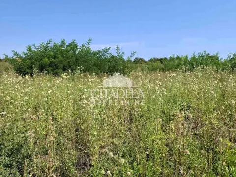 Prodaja, plac, 6000m², Sopot, Beograd - image 3