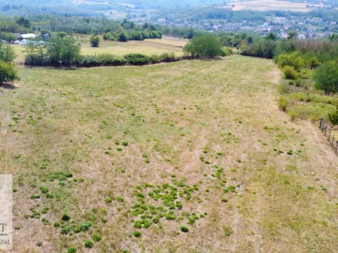 Prodaja, plac, 9100m², Obrenovac, Beograd - image 16