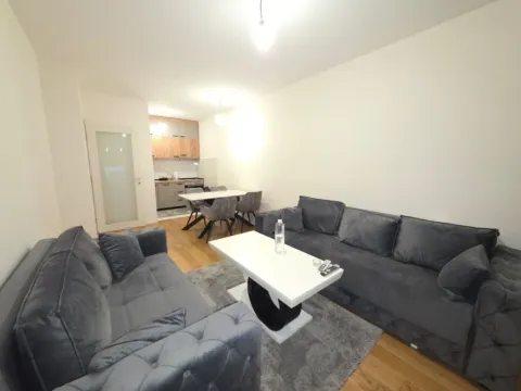 Prodaja, jednosoban stan, 47m², Central Point, Podgorica - image 1