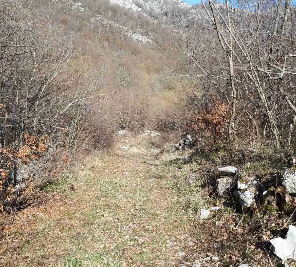 Prodaja, plac, 93700m², Kotor, Crna Gora