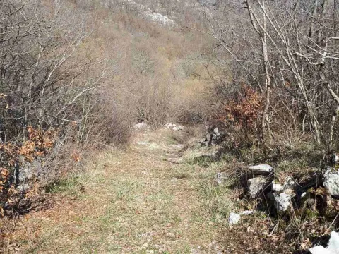 Prodaja, plac, 93700m², Kotor, Crna Gora - image 5