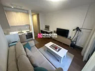 Izdavanje, garsonjera, 30m2, Master Kvart, Podgorica