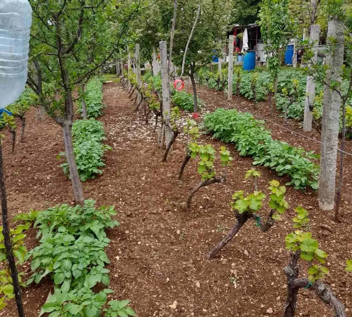Prodaja, plac, 700m², Herceg Novi, Crna Gora