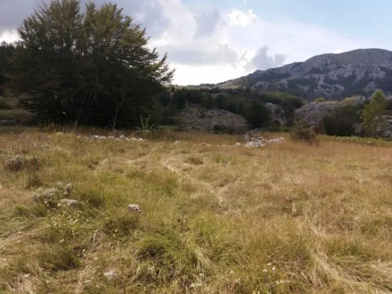 Prodaja, plac, 20000m², Cetinje, Crna Gora