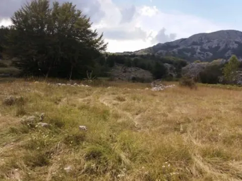 Sale, land lot, 20000m², Cetinje, Crna Gora - image 9