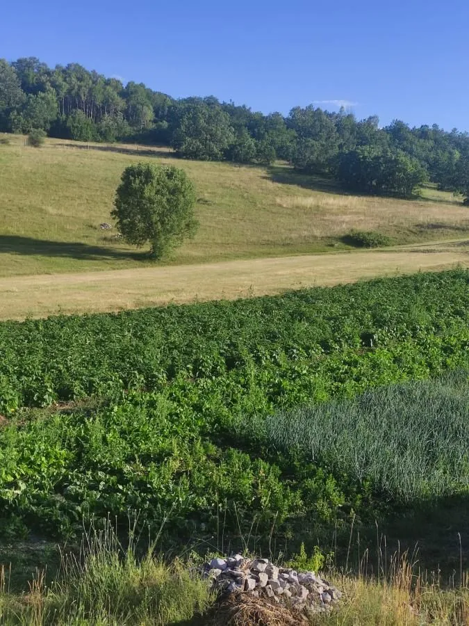 Prodaja, plac, 136000m², Dubočke, Nikšić