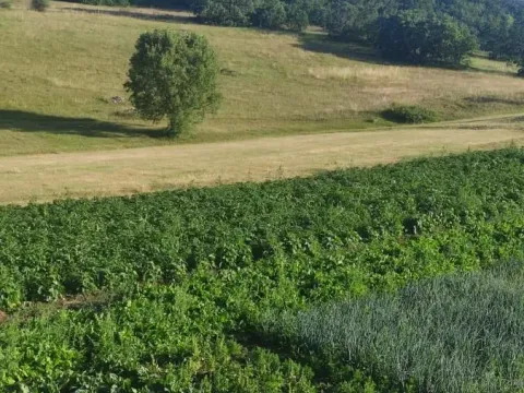 Sale, house, 60m², Dubočke, Nikšić - image 4