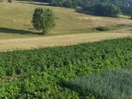 Sale, house, 60m², Dubočke, Nikšić - image 4