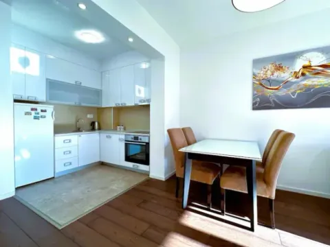 Stan-na-dan, dvosoban stan, 50m², Vezirov Most, Podgorica - image 8