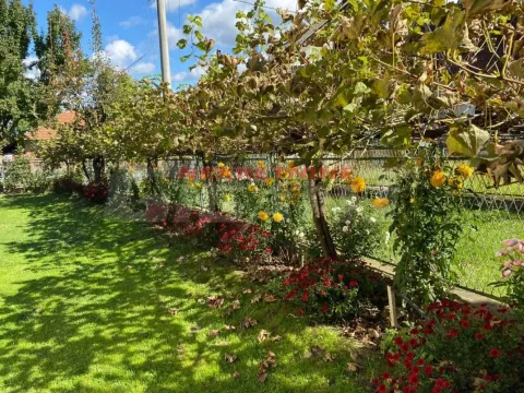 Prodaja, plac, 20000m², Lipova, Vrnjačka Banja - image 5