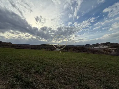 Sale, land lot, 24207m², Beočin, Srbija - image 4