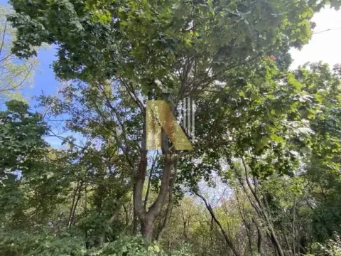 Prodaja, plac, 800m², Irig, Srbija - image 3