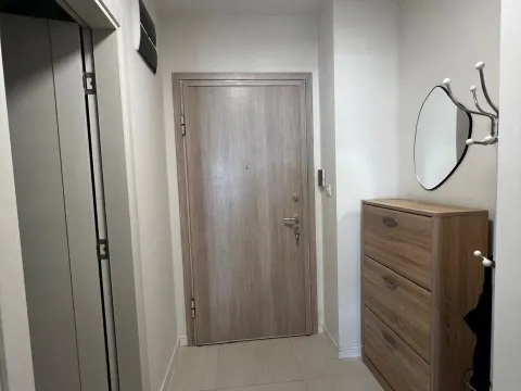 Rent, one bedroom apartment, 46m², Central Point, Podgorica - image 7