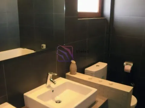 Rent, house, 262m², Zabjelo, Podgorica - image 5