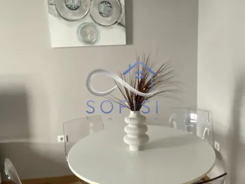 Izdavanje, trosoban stan, 58m², Centar, Novi Sad - image 10