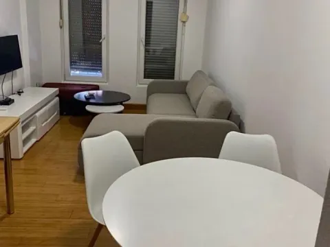 Izdavanje, jednosoban stan, 45m², Vezirov Most, Podgorica