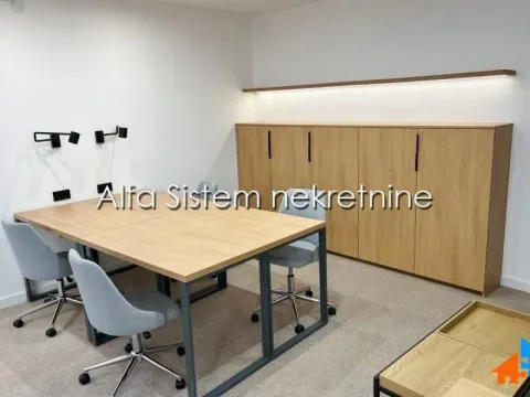 Rent, office space, 250m², Bogoslovija, Palilula Sve Podlokacije - image 13