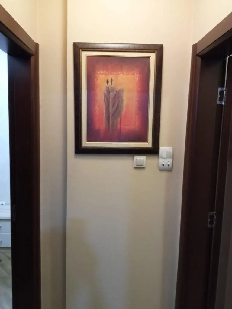 Izdavanje, jednosoban stan, 55m², Preko Morače, Podgorica