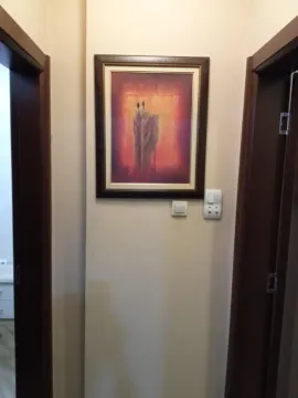 Izdavanje, jednosoban stan, 55m², Preko Morače, Podgorica - image 18